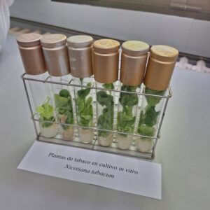 Evento de divulgación científica y participación ciudadana que se celebra cada mes de noviembre. Su objetivo es fomentar la cultura científica en la ciudadanía y acercar a la sociedad, y especialmente a los jóvenes no universitarios, la actividad de las instituciones vinculadas a la ciencia y al conocimiento científico y tecnológico de la comunidad autónoma.