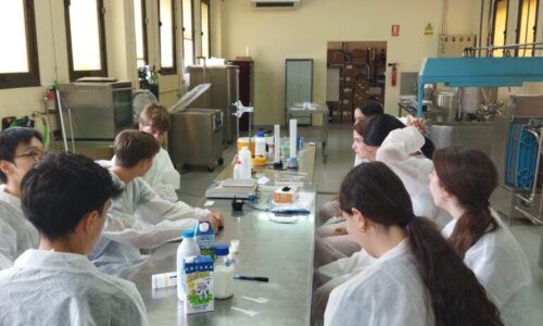 newtec4