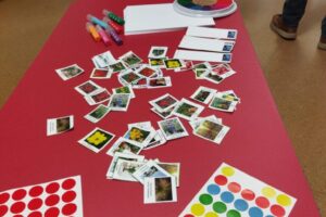 WhatsApp Image 2026-03-18 at 15.36.36 (7) WhatsApp Image 2026-03-18 at 15.36.36 (7)