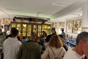 WhatsApp Image 2026-03-18 at 15.36.38 (3) WhatsApp Image 2026-03-18 at 15.36.38 (3)