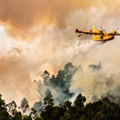 Proyecto de ciencia ciudadana que combina ecoacústica, etnobotánica y tecnologías accesibles para monitorizar la biodiversidad y favorecer la recuperación de ecosistemas afectados por incendios desde una perspectiva participativa y sostenible.